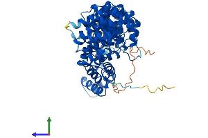 AlphaFold protein structure predicition of Human Recombinant ARMC6 Protein, UniprotID Q6NXE6