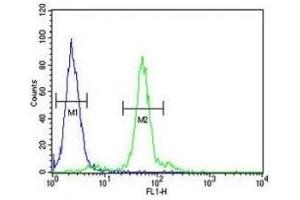 LOX antibody flow cytometric analysis of 293 cells (green) compared to a negative control (blue).