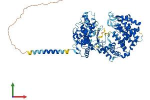 AlphaFold protein structure predicition of Human Recombinant KEL Protein, UniprotID P23276