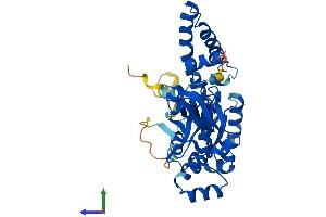 AlphaFold protein structure predicition of Human Recombinant OLA1 Protein, UniprotID Q9NTK5