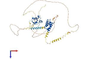 AlphaFold protein structure predicition of Mouse Recombinant Psip1 Protein, UniprotID Q99JF8