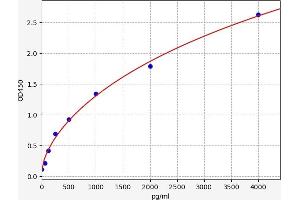 Sclerostin (SOST) ELISA Kit