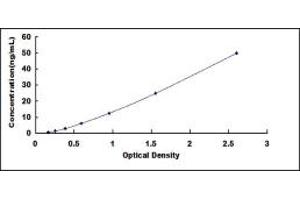 Typical standard curve (SMURF2 Kit ELISA)