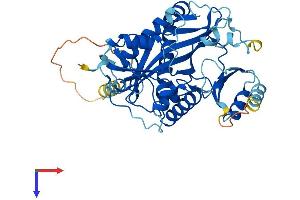 AlphaFold protein structure predicition of Mouse Recombinant Ttll1 Protein, UniprotID Q91V51