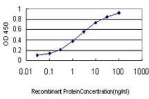 Detection limit for recombinant GST tagged RNF141 is approximately 0.