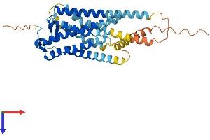 AlphaFold protein structure predicition of Human Recombinant PTGER2 Protein, UniprotID P43116