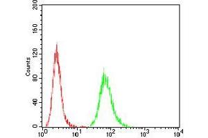Flow cytometric analysis of Hela cells using ATG5 mouse mAb (green) and negative control (red). (ATG5 anticorps)