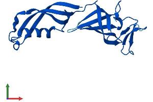 AlphaFold protein structure predicition of Mouse Recombinant Polr2g Protein, UniprotID P62488