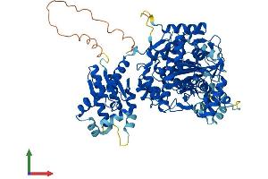 AlphaFold protein structure predicition of Human Recombinant THNSL1 Protein, UniprotID Q8IYQ7
