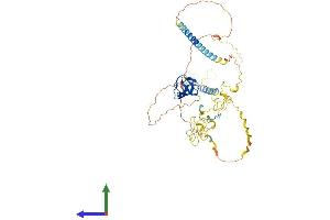 AlphaFold protein structure predicition of Mouse Recombinant Hcls1 Protein, UniprotID P49710