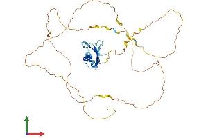 AlphaFold protein structure predicition of Mouse Recombinant Rbmx Protein, UniprotID Q9WV02