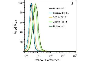 Uptake of 20nM CCL2-biotin by THP1 cells (dark green trace) is abolished by the addition of CCL7 (orange) but not CCL14 (light green), suggesting a CCR2-specific internalization.