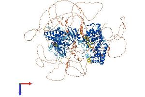 AlphaFold protein structure predicition of Mouse Recombinant Tut4 Protein, UniprotID B2RX14