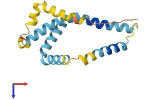 AlphaFold protein structure predicition of Mouse Recombinant Fundc2 Protein, UniprotID Q9D6K8