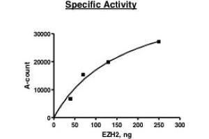 Activity Assay (AcA) image for Enhancer of Zeste Homolog 2 (EZH2) (Lys27) (Active) protein (DYKDDDDK Tag,His tag) (ABIN2669606) (EZH2 Protein (Lys27) (DYKDDDDK Tag,His tag))