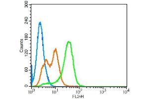K562 cells probed with Leptin receptor Polyclonal Antibody, Unconjugated  at 3ug for 30 minutes followed by incubation with a conjugated secondary (PE Conjugated) (green) for 30 minutes compared to control cells (blue), secondary only (light blue) and isotype control (orange).
