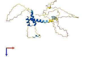 AlphaFold protein structure predicition of Mouse Recombinant Pitx1 Protein, UniprotID P70314