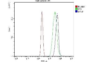 Flow Cytometry analysis of HL-60 cells using anti-Dysferlin/DYSF antibody (ABIN7601939).