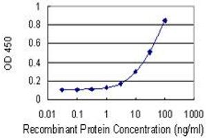 Detection limit for recombinant GST tagged BCAT1 is 1 ng/ml as a capture antibody. (BCAT1 anticorps  (AA 1-320))