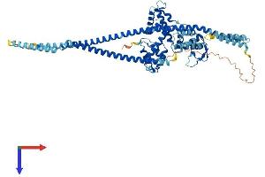 AlphaFold protein structure predicition of Human Recombinant TSNAXIP1 Protein, UniprotID Q2TAA8