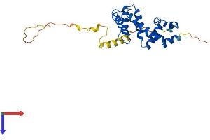 AlphaFold protein structure predicition of Mouse Recombinant Rgs19 Protein, UniprotID Q9CX84