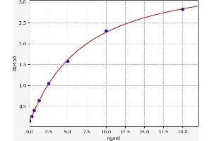Typical standard curve (RASGRP3 Kit ELISA)