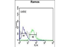 PHGDH Antibody (Center) (ABIN650767 and ABIN2839544) flow cytometric analysis of Ramos cells (right histogram) compared to a negative control cell (left histogram).