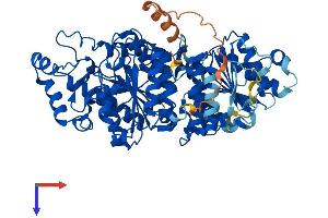 AlphaFold protein structure predicition of Mouse Recombinant Hdac10 Protein, UniprotID Q6P3E7