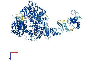 AlphaFold protein structure predicition of Human Recombinant LIG4 Protein, UniprotID P49917