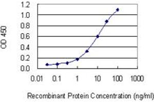 Detection limit for recombinant GST tagged CNR2 is 0. (CNR2 anticorps  (AA 302-360))