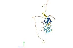 AlphaFold protein structure predicition of Human Recombinant DCX Protein, UniprotID O43602