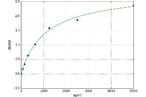 A typical standard curve