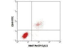Flow Cytometry (FACS) image for anti-B-cell antigen receptor complex-associated protein alpha chain (CD79A) antibody (PerCP-Cy5.5) (ABIN2660409) (CD79a anticorps  (PerCP-Cy5.5))