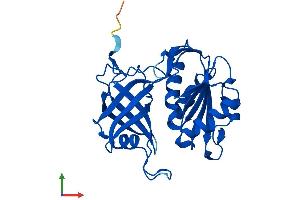 AlphaFold protein structure predicition of Human Recombinant CYB5R2 Protein, UniprotID Q6BCY4