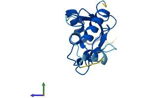 AlphaFold protein structure predicition of Human Recombinant UBE2NL Protein, UniprotID Q5JXB2