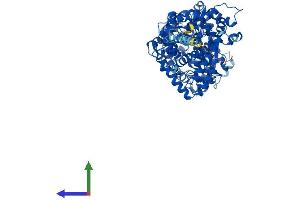 AlphaFold protein structure predicition of Mouse Recombinant Phex Protein, UniprotID P70669