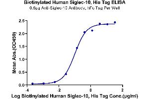 Immobilized Anti-Siglec-10, hFc Tag Antibody at 5 μg/mL (100 μL/well) on the plate.