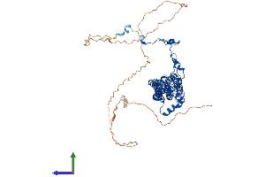 AlphaFold protein structure predicition of Human Recombinant BEST1 Protein, UniprotID O76090