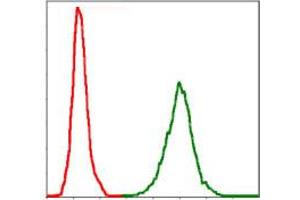 Flow Cytometry (FACS) image for anti-Neurofilament, Light Polypeptide (NEFL) antibody (ABIN1108416) (NEFL anticorps)