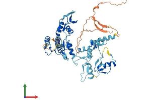 AlphaFold protein structure predicition of Mouse Recombinant Hinfp Protein, UniprotID Q8K1K9