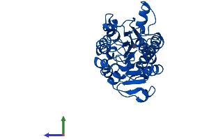 AlphaFold protein structure predicition of Human Recombinant GRHPR Protein, UniprotID Q9UBQ7