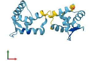 AlphaFold protein structure predicition of Human Recombinant CABP5 Protein, UniprotID Q9NP86
