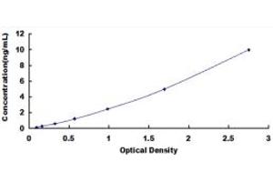 Typical standard curve (CD19 Kit ELISA)