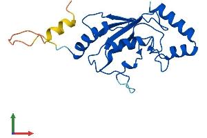 AlphaFold protein structure predicition of Human Recombinant UBE2F Protein, UniprotID Q969M7