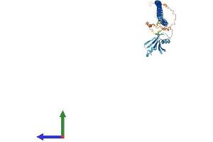 AlphaFold protein structure predicition of Mouse Recombinant Rassf8 Protein, UniprotID Q8CJ96