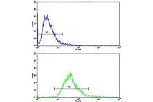 Flow cytometric analysis of CEM cells using MGMT antibody (bottom histogram) compared to a negative control top histogram).
