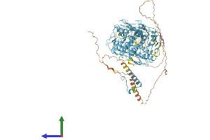 AlphaFold protein structure predicition of Human Recombinant ZNF808 Protein, UniprotID Q8N4W9