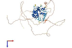 AlphaFold protein structure predicition of Human Recombinant ZNF280A Protein, UniprotID P59817