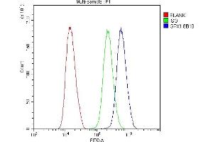 Flow Cytometry analysis of U251 cells using anti- GPX1 antibody (ABIN6719520). (Glutathione Peroxidase 1 anticorps  (Middle Region))