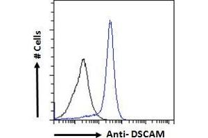 ABIN185687 Flow cytometric analysis of paraformaldehyde fixed MCF7 cells (blue line), permeabilized with 0.